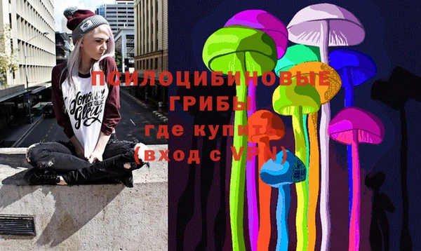 мет Каменка